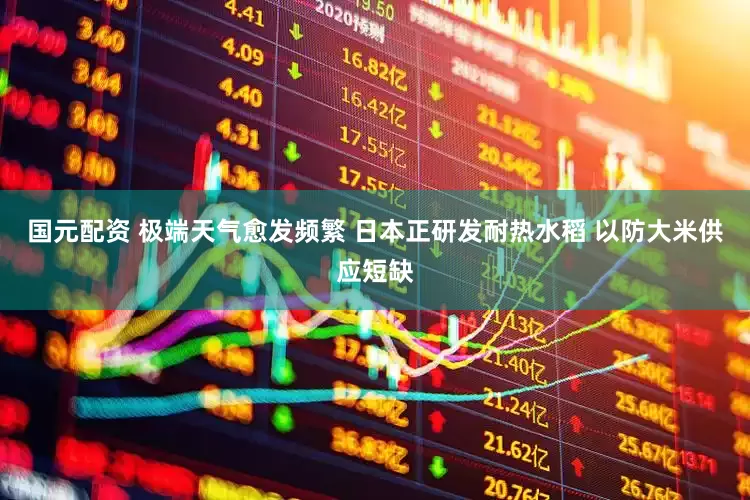 国元配资 极端天气愈发频繁 日本正研发耐热水稻 以防大米供应短缺