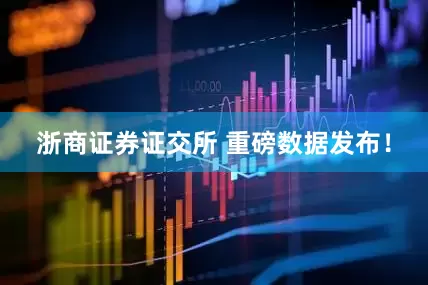 浙商证券证交所 重磅数据发布！