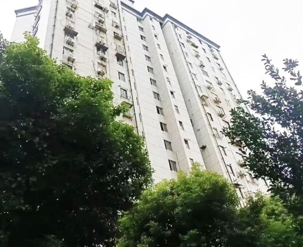 诚金资产 党建引领物业治理丨社区治理添动能！普陀这里实现物业服务“质价双提升”